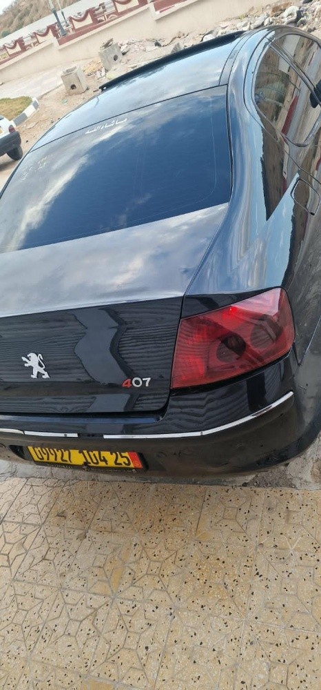 بيجو 407 - 4