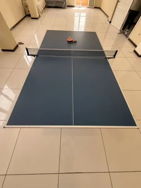 Table Ping-Pong - 1