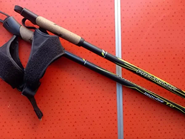 Batons de marche , un modele - 1