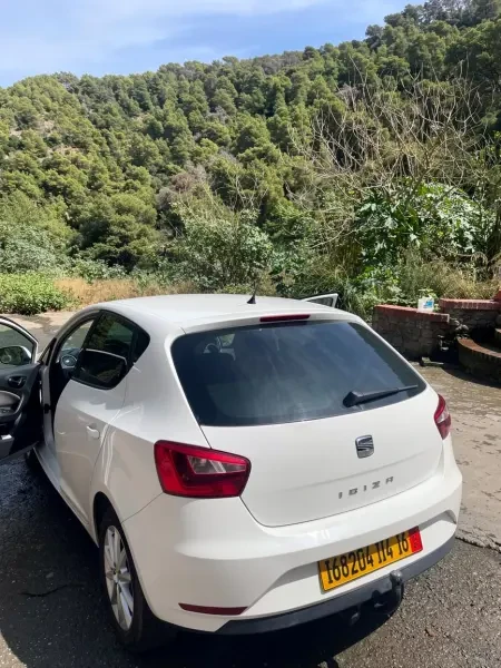 Seat Ibiza 2014 - 4
