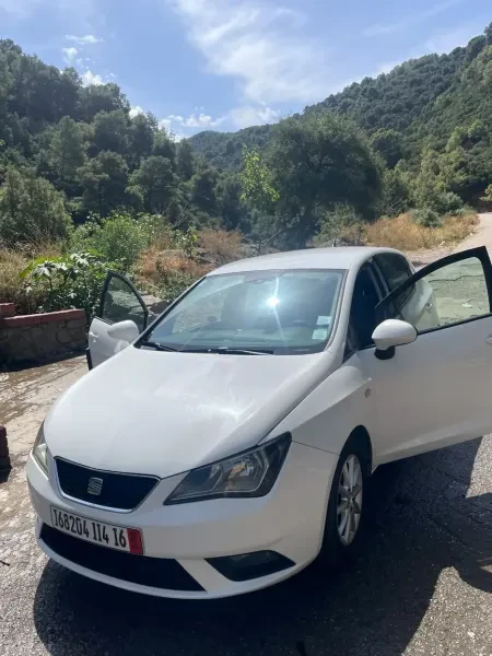 Seat Ibiza 2014 - 3