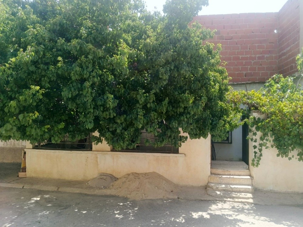 عقار صالح للسكن والاستثمار - 11