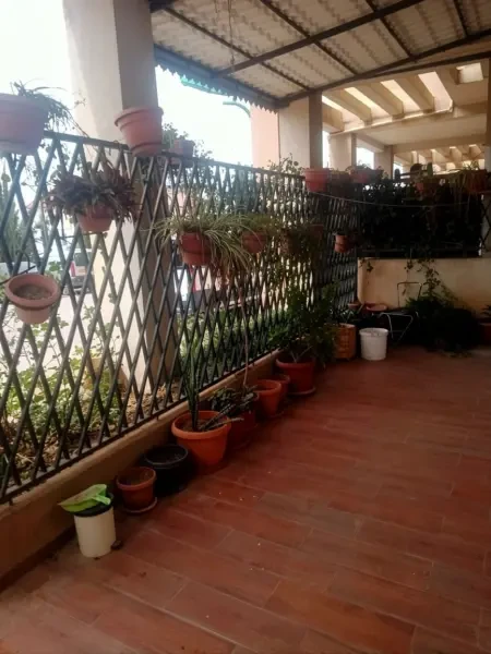 Location Appartement F4 Béjaïa - 3