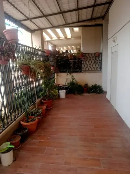 Location Appartement F4 Béjaïa - 4
