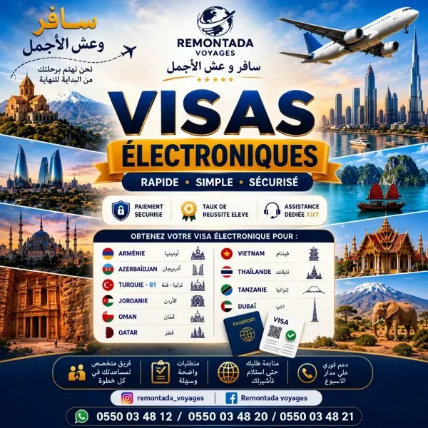 VISAS ÉLECTRONIQUES - 1