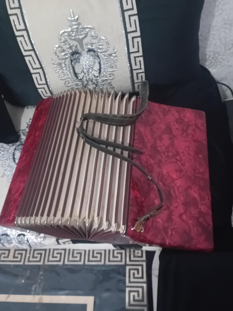 accordeon - 6