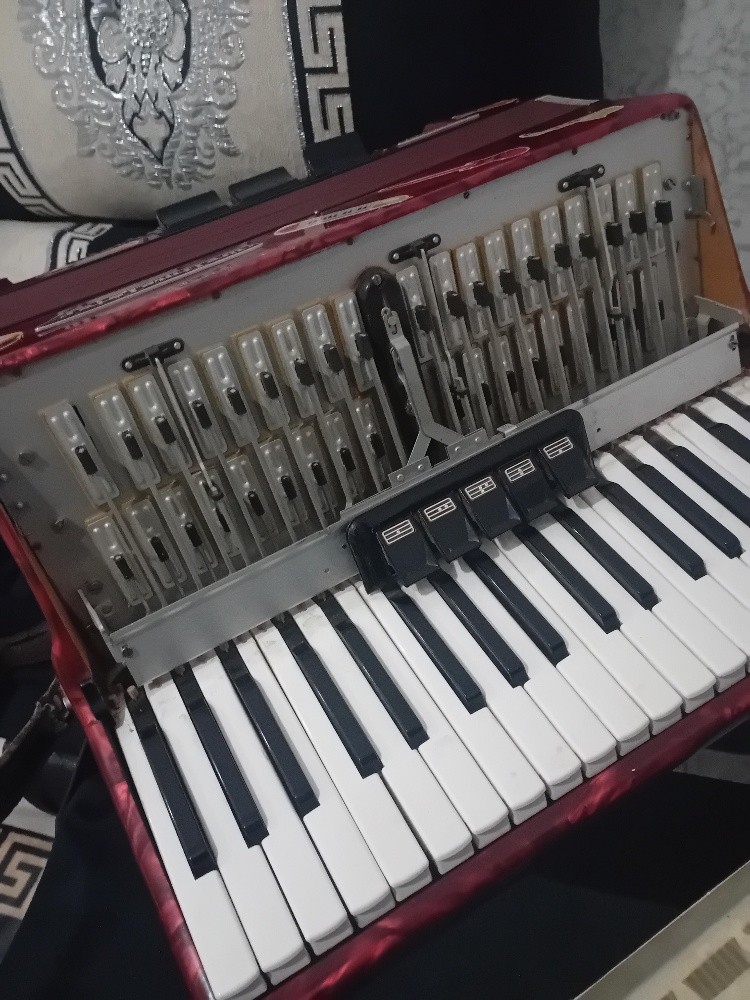 accordeon - 2