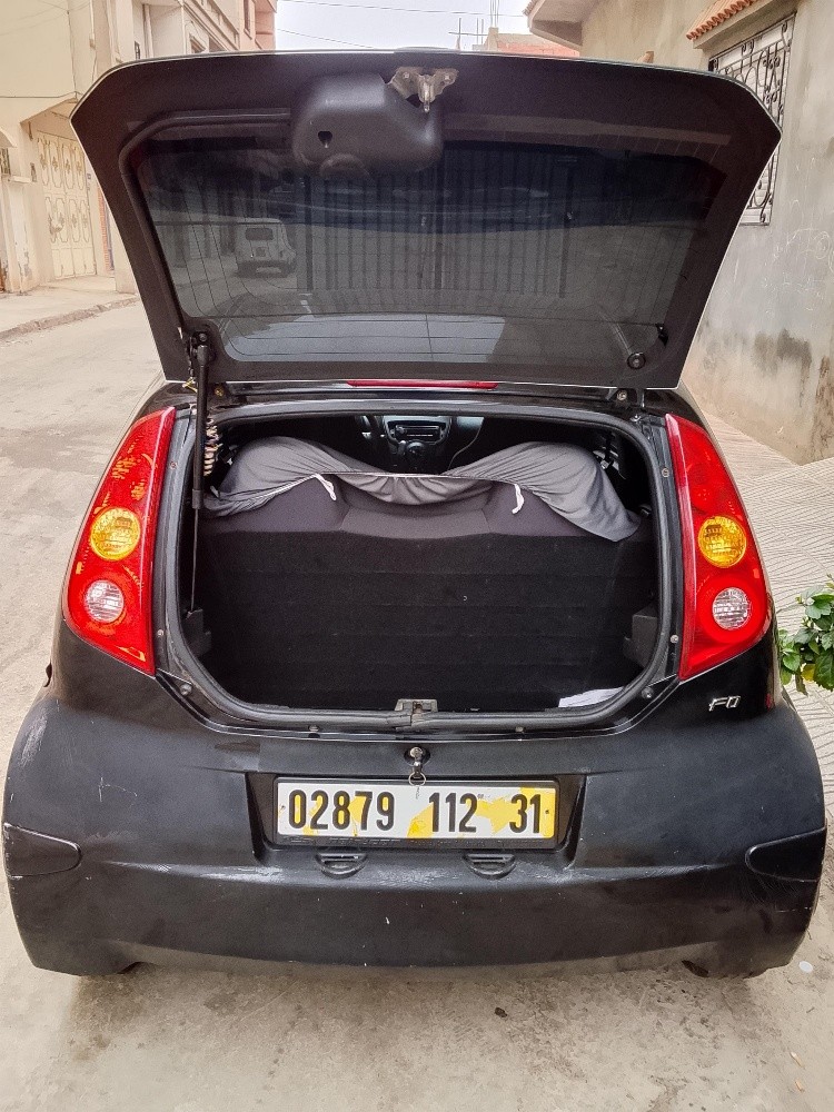 BYD F0 1.0 ESS 67CH - 4