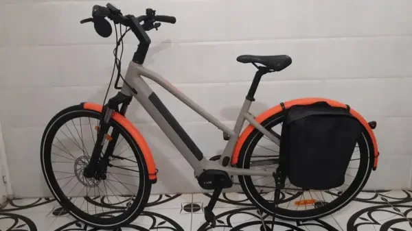 Vélo électrique Moteur Bosch Cx 4 - 1