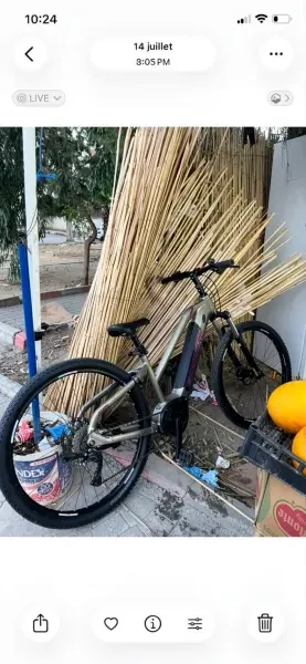 Vélo Électrique La Pierre - 1