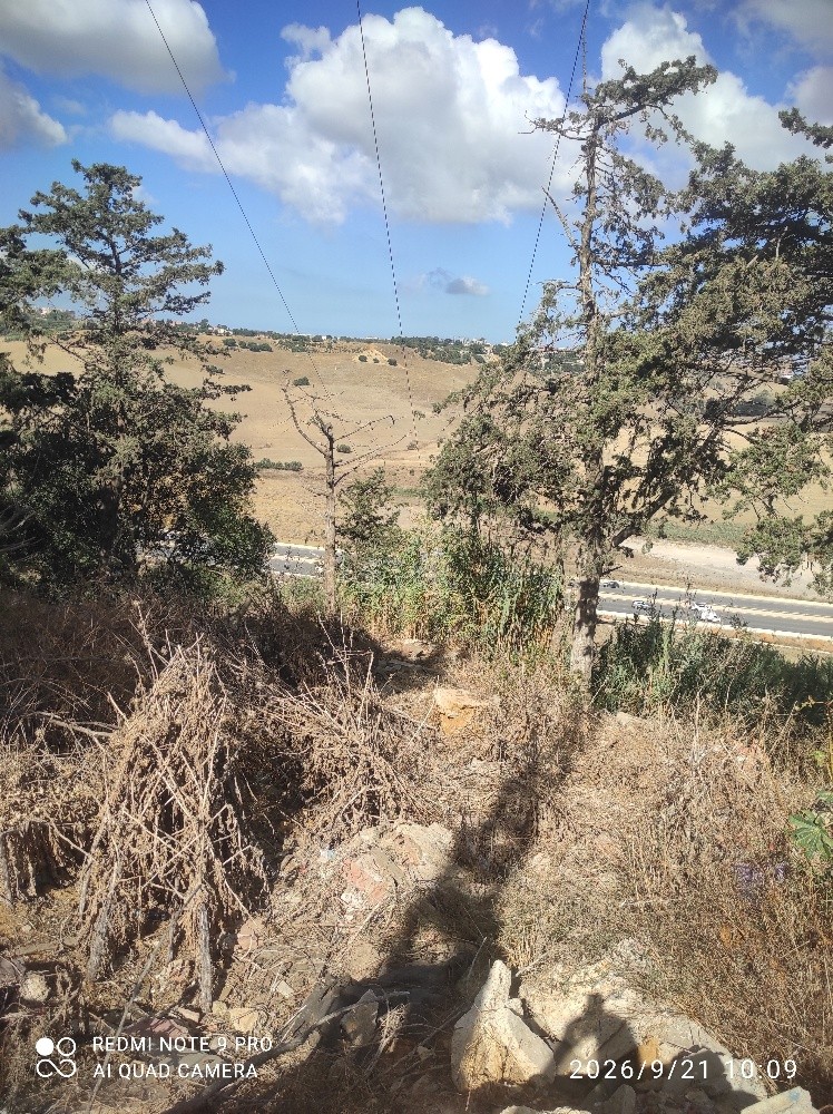 vend un lot de terrain urbanisé sup 4300m endroit calme - 5