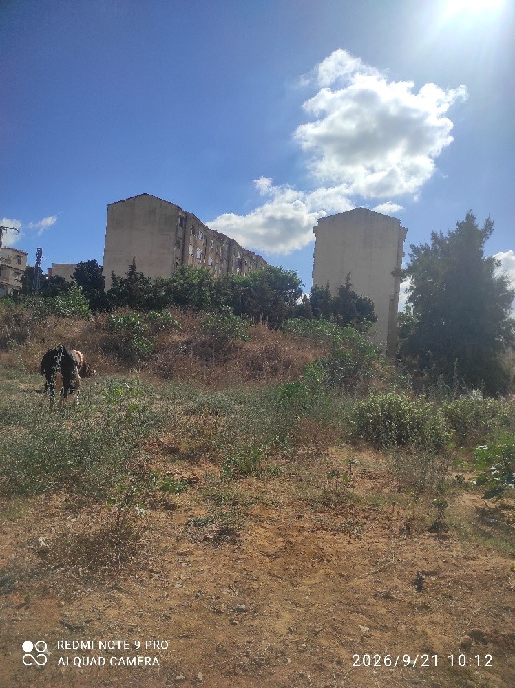 vend un lot de terrain urbanisé sup 4300m endroit calme - 9