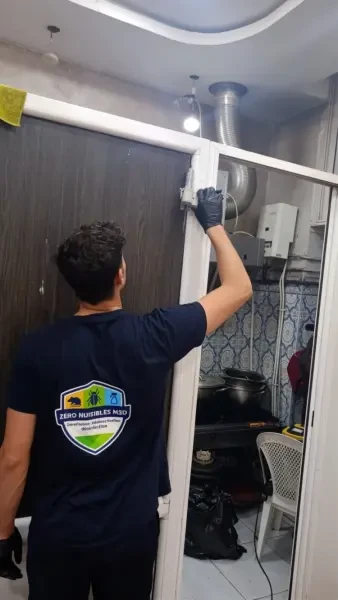 محاربة حشرات وصراصير وجردان - 1