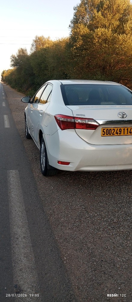 COROLLA  - 10