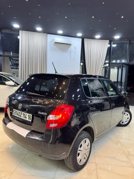Skoda Fabia 2014 - 4