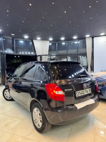 Skoda Fabia 2014 - 1