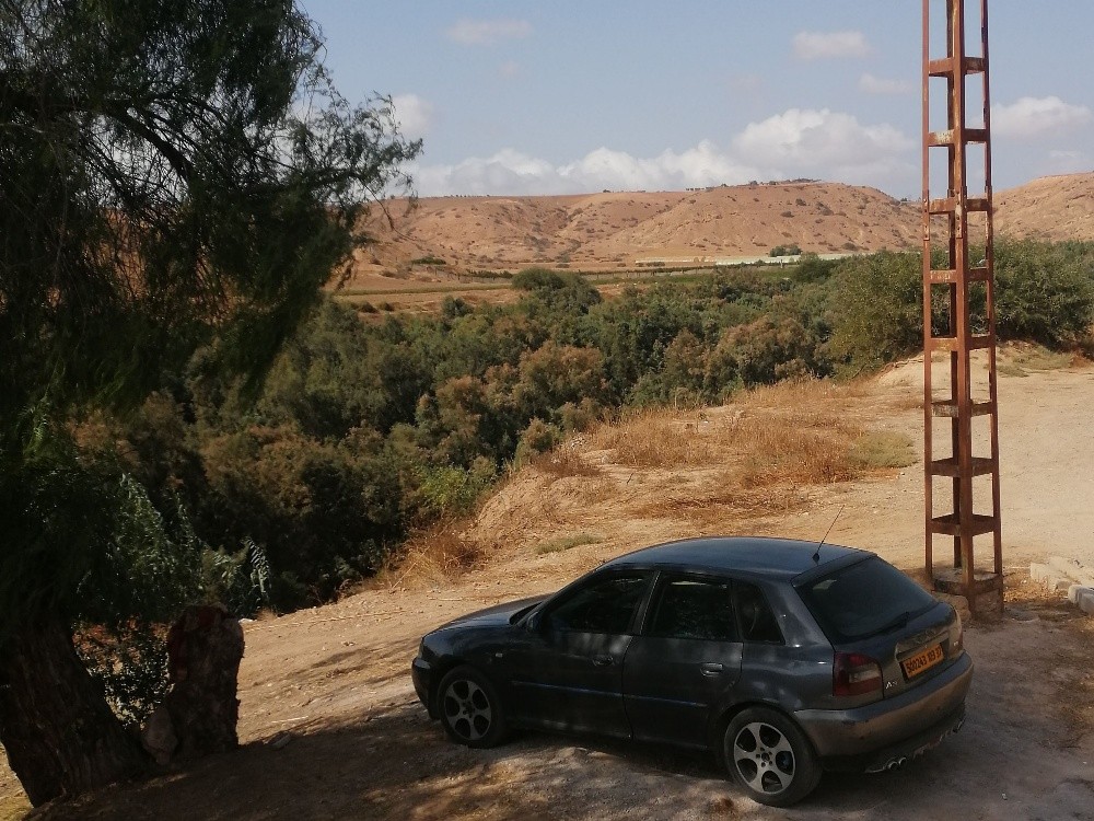 اودي - 1