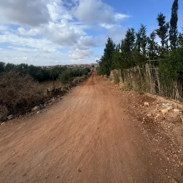 بيع أرض فلاحية وهران بوتليليس - 2