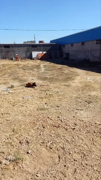 كراء أرض البليدة - 1