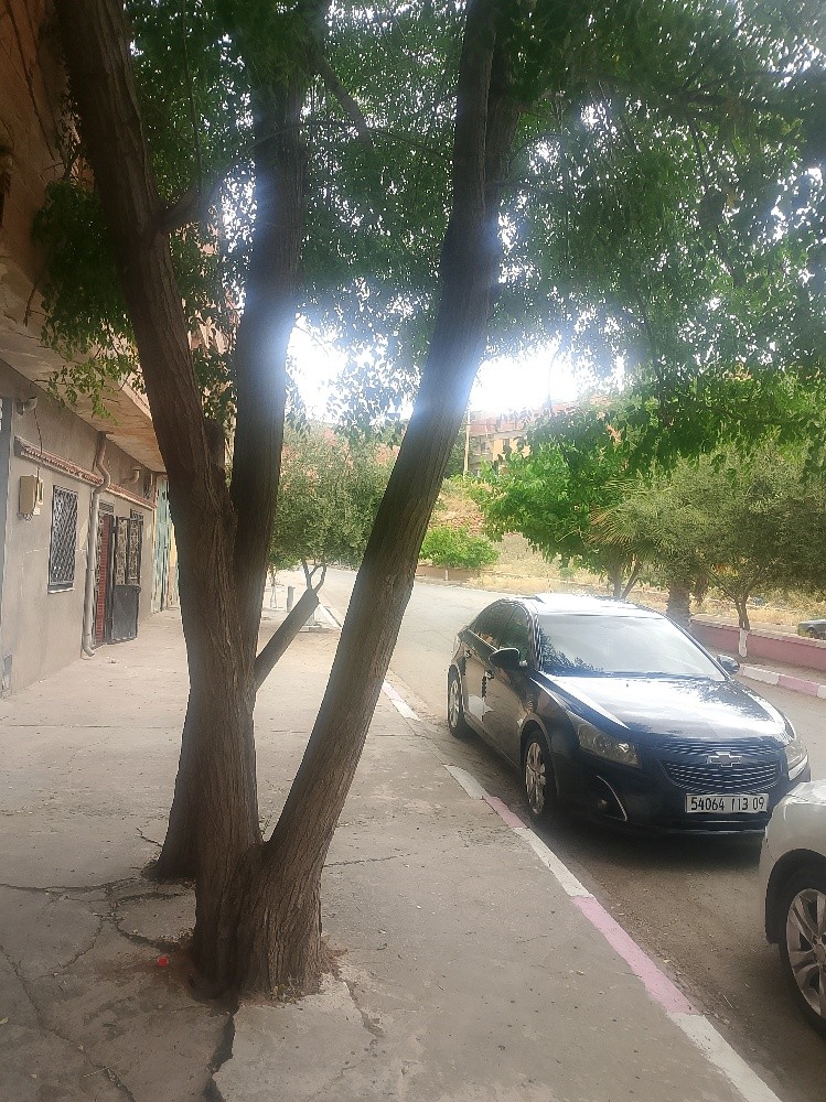 كروز ديازال2. 2 - 5