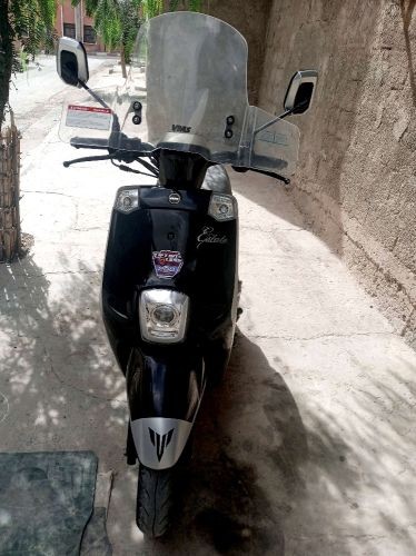 استايت 2022