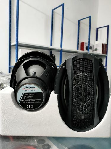 ts pioneer champion série