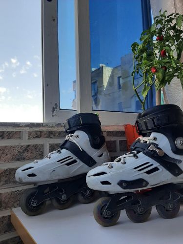 احذية تزلج 