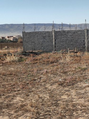 ارض للبيع في بلدية بولحاف الدير