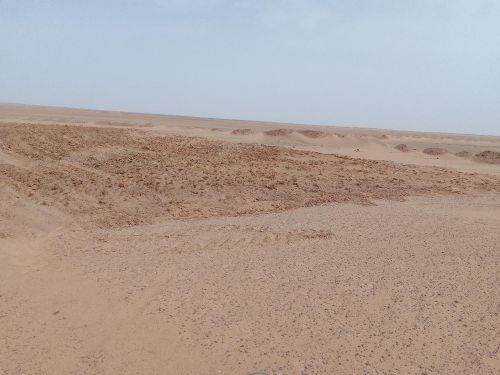  قطعة ارض على بعد 13 كم من إن ڨزا