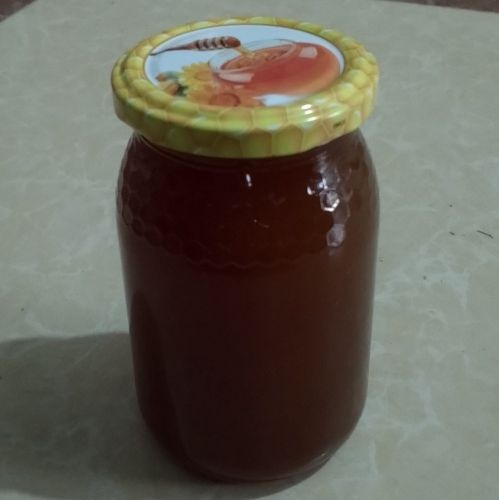 عسل الكاليتوس جملة
