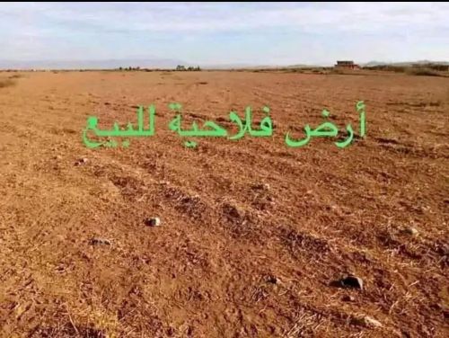 ارض فلاحية للبيع