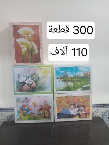 puzzle 300 pièces 38x26 cm jigsaw
