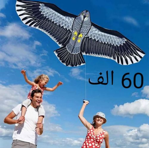 cerf volant aigle 55x110 cm
