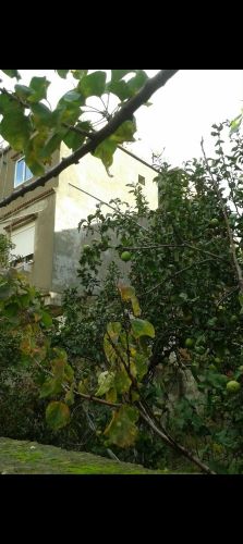 Villa en vent