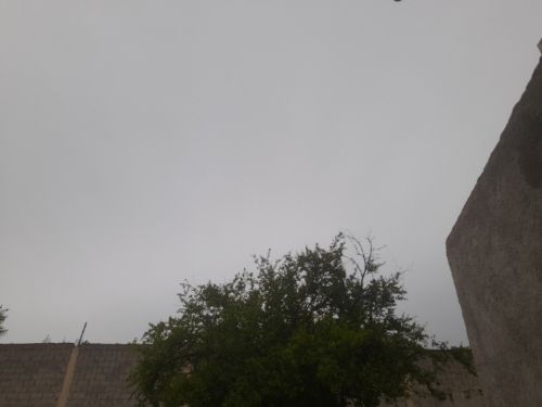 بيت شعبي 