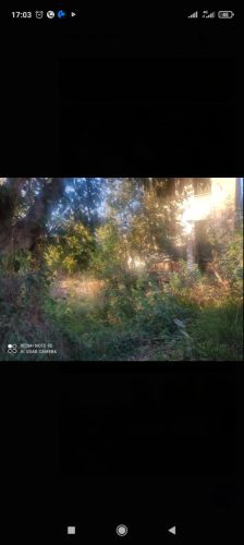 Terrain a panorama