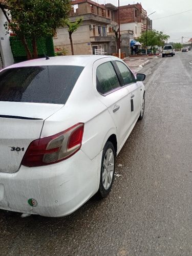 مزوط 301