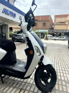 Cuxi 2