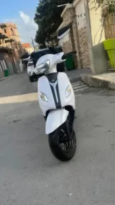 Vms Joci 2025