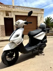 Vms Joci 2026