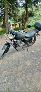 Okinoi Lion 2022