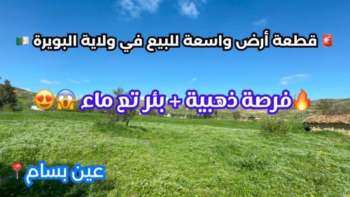 agents immobiliers wassitt