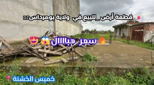 agents immobiliers wassitt