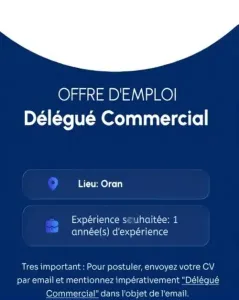 Délégué Commercial