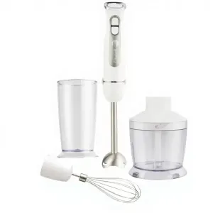 Mixeur Plongeant - FG349 1000W 12