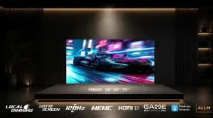 IRIS 55"M8020 4K MINILED GOOGLE