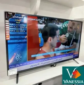 Télévision 42P Simple Marque Géan