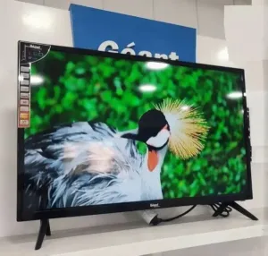 Téléviseur géant 32 Pouces Smart