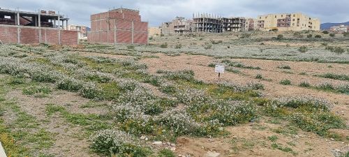 قطعة ارض بعقد عرفي