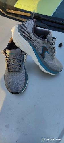 skechers basket 